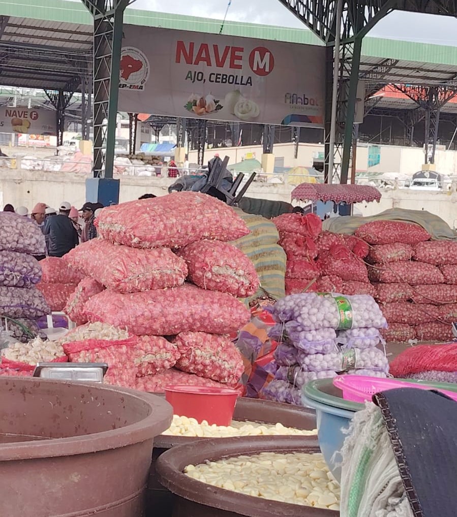 Precio del ajo alcanza récord histórico